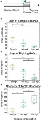 Efficacy of Tricaine (MS-222) and Hypothermia as Anesthetic Agents for Blocking Sensorimotor Responses in Larval Zebrafish